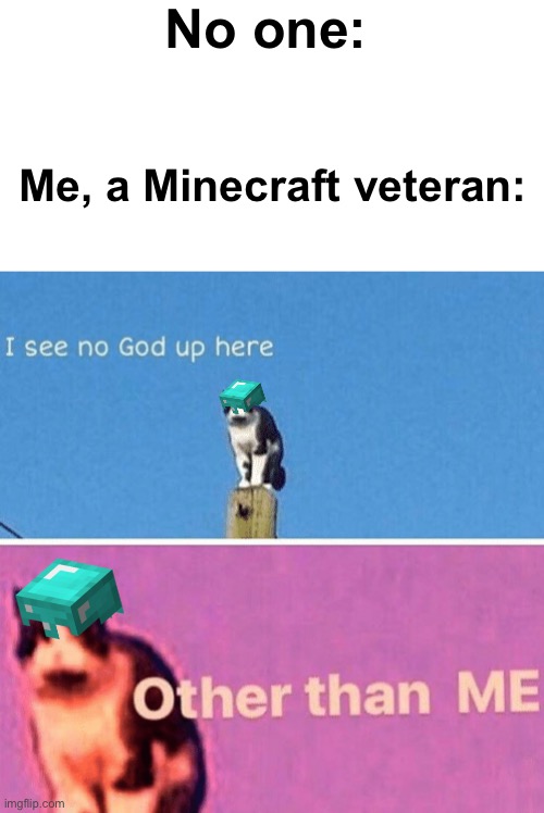 Minecraft pole cat | No one:; Me, a Minecraft veteran: | image tagged in hail pole cat | made w/ Imgflip meme maker