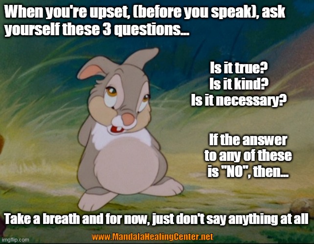 WISE WORDS FROM A WABBIT | When you're upset, (before you speak), ask       
yourself these 3 questions... Is it true?

Is it kind?

Is it necessary? If the answer to any of these is "NO", then... Take a breath and for now, just don't say anything at all; www.MandalaHealingCenter.net | image tagged in thumper | made w/ Imgflip meme maker