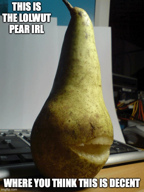 Lolwut IRL | THIS IS THE LOLWUT PEAR IRL; WHERE YOU THINK THIS IS DECENT | image tagged in lolwut,memes,pear | made w/ Imgflip meme maker
