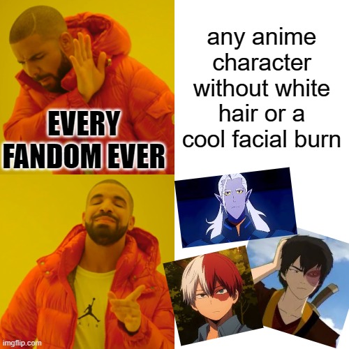 Drake Hotline Bling | any anime character without white hair or a cool facial burn; EVERY FANDOM EVER | image tagged in memes,drake hotline bling | made w/ Imgflip meme maker