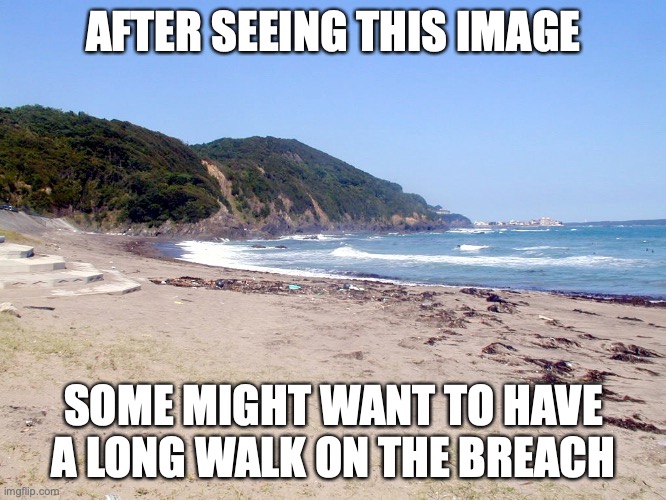 Sexy Beach | AFTER SEEING THIS IMAGE; SOME MIGHT WANT TO HAVE A LONG WALK ON THE BREACH | image tagged in beach,memes | made w/ Imgflip meme maker