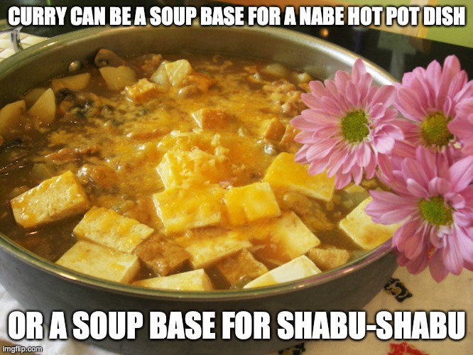 Curry Nabe | CURRY CAN BE A SOUP BASE FOR A NABE HOT POT DISH; OR A SOUP BASE FOR SHABU-SHABU | image tagged in food,memes,curry | made w/ Imgflip meme maker