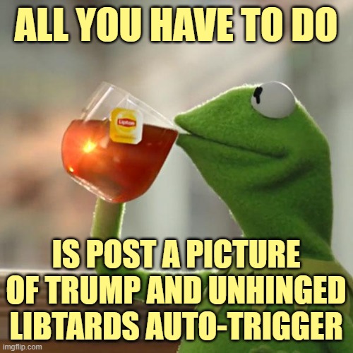 But That's None Of My Business Meme | ALL YOU HAVE TO DO IS POST A PICTURE OF TRUMP AND UNHINGED LIBTARDS AUTO-TRIGGER | image tagged in memes,but that's none of my business,kermit the frog | made w/ Imgflip meme maker
