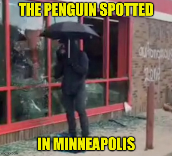 Holy Bumbershoot, Batman | THE PENGUIN SPOTTED; IN MINNEAPOLIS | image tagged in umbrella man,minneapolis,the penguin,batman,funny,memes | made w/ Imgflip meme maker