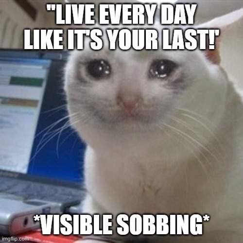 Crying cat | "LIVE EVERY DAY LIKE IT'S YOUR LAST!'; *VISIBLE SOBBING* | image tagged in crying cat,motivational,sad | made w/ Imgflip meme maker