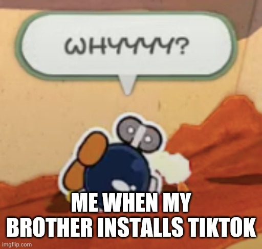Bobby why | ME WHEN MY BROTHER INSTALLS TIKTOK | image tagged in bobby why | made w/ Imgflip meme maker