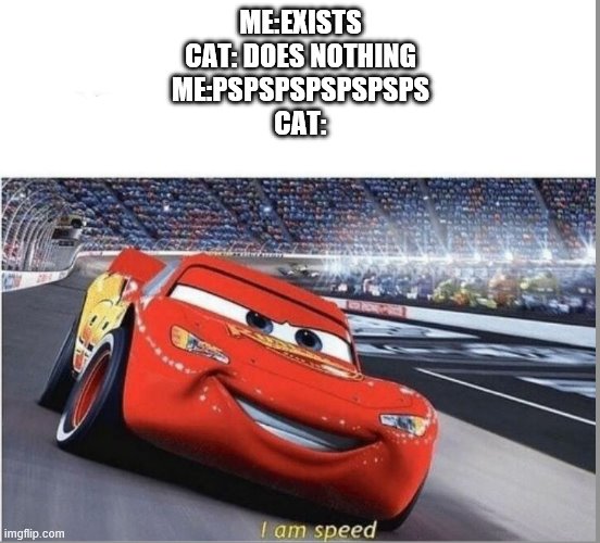 I am Speed | ME:EXISTS
CAT: DOES NOTHING
ME:PSPSPSPSPSPSPS
CAT: | image tagged in i am speed | made w/ Imgflip meme maker