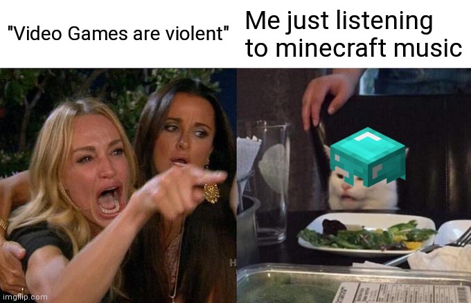 ah, minecraft music | "Video Games are violent"; Me just listening to minecraft music | image tagged in memes,woman yelling at cat | made w/ Imgflip meme maker