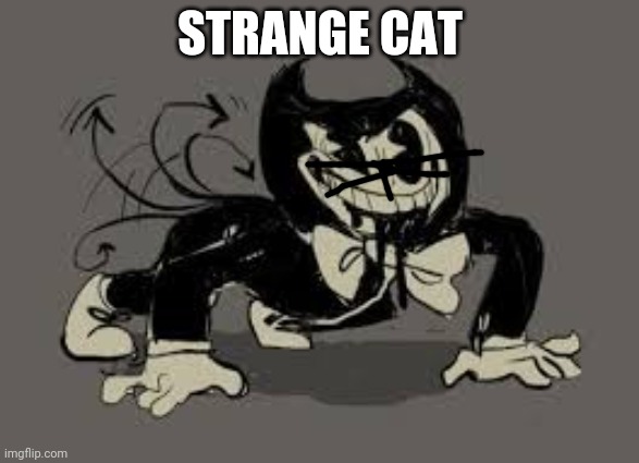 meow | STRANGE CAT | image tagged in cats,avatar the last airbender | made w/ Imgflip meme maker