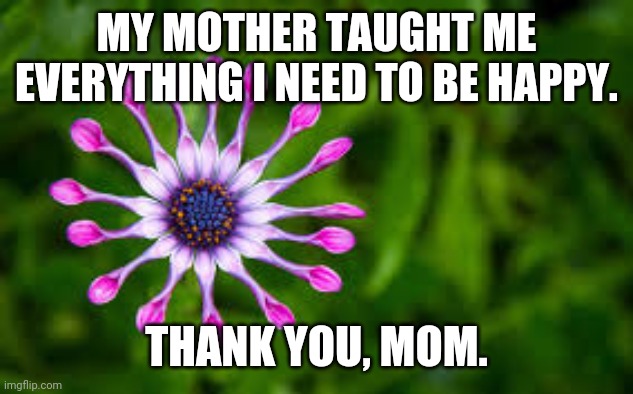 Thank you mom. You taught me everything I need to live. | MY MOTHER TAUGHT ME EVERYTHING I NEED TO BE HAPPY. THANK YOU, MOM. | image tagged in mom | made w/ Imgflip meme maker