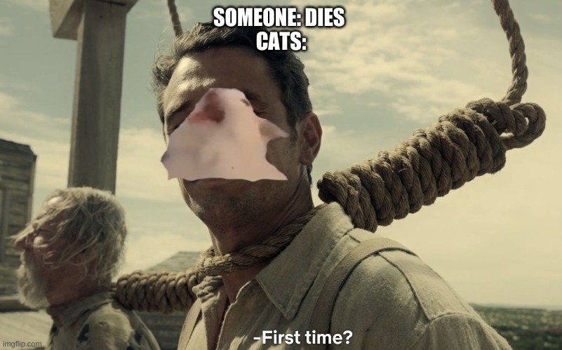 first time | SOMEONE: DIES 
CATS: | image tagged in first time | made w/ Imgflip meme maker