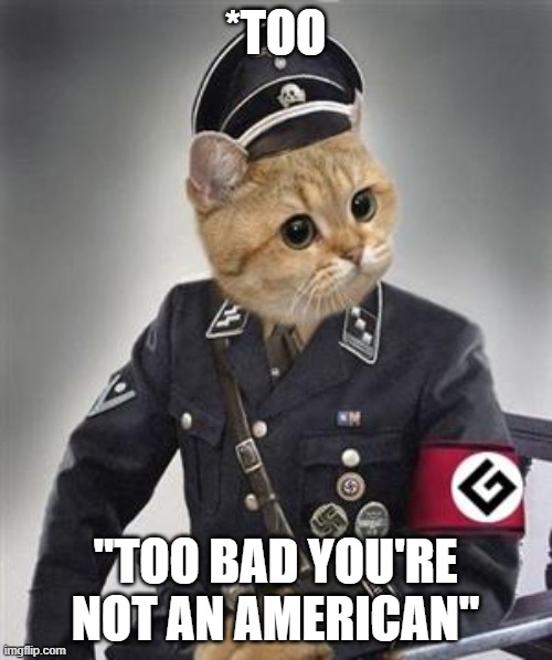 Grammar Nazi Cat | *TOO "TOO BAD YOU'RE NOT AN AMERICAN" | image tagged in grammar nazi cat | made w/ Imgflip meme maker