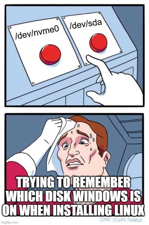 Linux Windows | /dev/sda; /dev/nvme0; TRYING TO REMEMBER WHICH DISK WINDOWS IS ON WHEN INSTALLING LINUX | image tagged in memes,two buttons | made w/ Imgflip meme maker