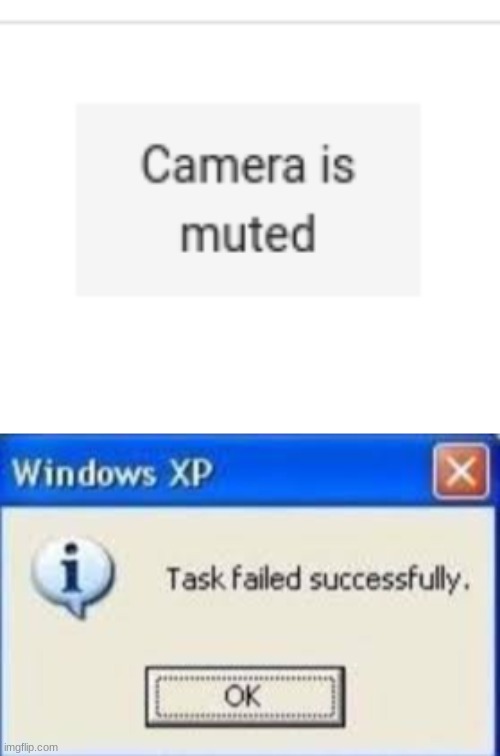 rly tho | image tagged in task failed successfully,camera,memes,muted,fail | made w/ Imgflip meme maker