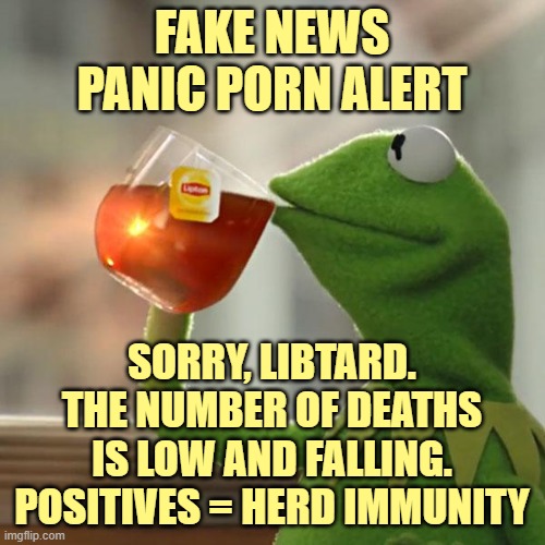 But That's None Of My Business Meme | FAKE NEWS
PANIC PORN ALERT SORRY, LIBTARD.
THE NUMBER OF DEATHS IS LOW AND FALLING.
POSITIVES = HERD IMMUNITY | image tagged in memes,but that's none of my business,kermit the frog | made w/ Imgflip meme maker