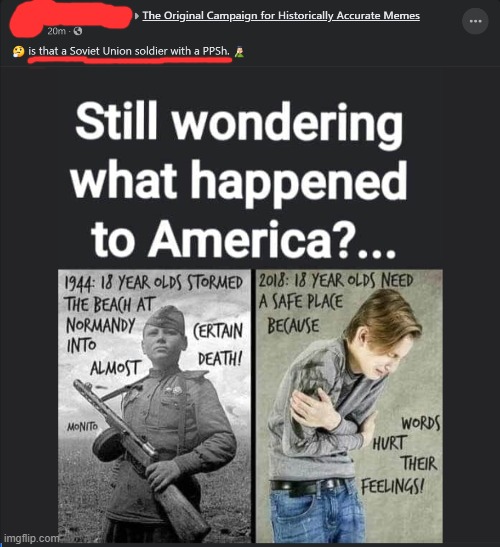 lol someone who knows more about guns is gonna have to confirm that for me. bot556? | image tagged in guns,safe space,wwii,world war 2,world war ii,repost | made w/ Imgflip meme maker