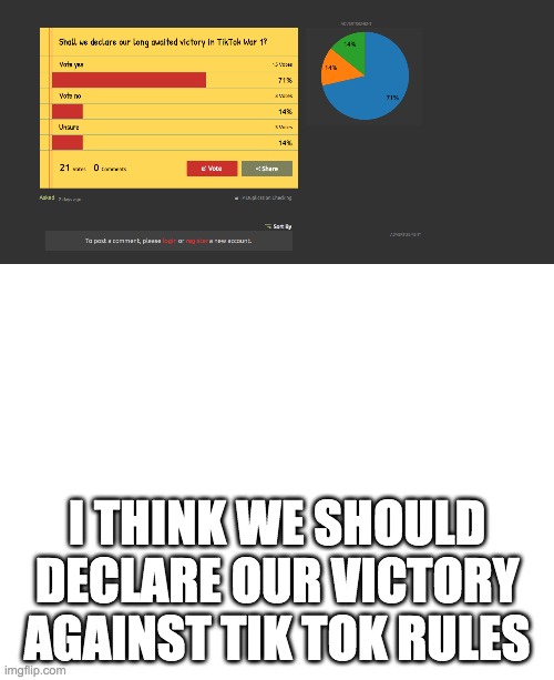 Although more people may want to vote | I THINK WE SHOULD DECLARE OUR VICTORY AGAINST TIK TOK RULES | image tagged in blank white template | made w/ Imgflip meme maker