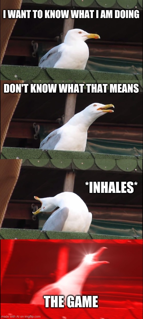 Inhaling Seagull Meme | I WANT TO KNOW WHAT I AM DOING; DON'T KNOW WHAT THAT MEANS; *INHALES*; THE GAME | image tagged in memes,inhaling seagull | made w/ Imgflip meme maker