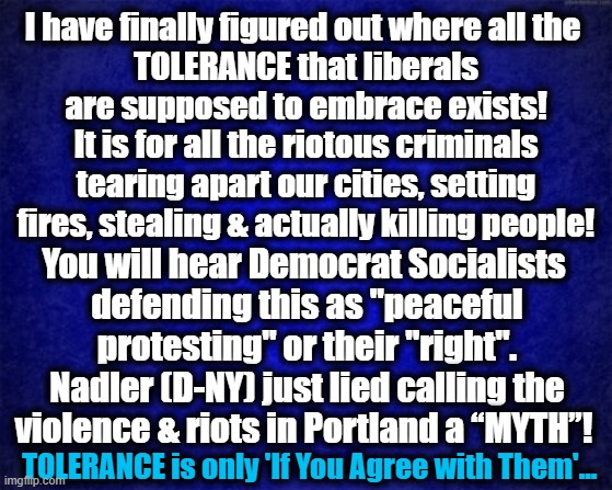 Democrats' TOLERANCE for TERRORISM... | I have finally figured out where all the 
TOLERANCE that liberals are supposed to embrace exists! It is for all the riotous criminals tearing apart our cities, setting fires, stealing & actually killing people! You will hear Democrat Socialists 
defending this as "peaceful protesting" or their "right". Nadler (D-NY) just lied calling the violence & riots in Portland a “MYTH”! TOLERANCE is only 'If You Agree with Them'... | image tagged in politics,political meme,democratic socialism,democratic party,terrorism,riots | made w/ Imgflip meme maker