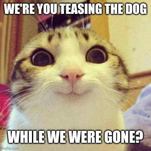 Smiling Cat Meme | WE'RE YOU TEASING THE DOG; WHILE WE WERE GONE? | image tagged in memes,smiling cat | made w/ Imgflip meme maker