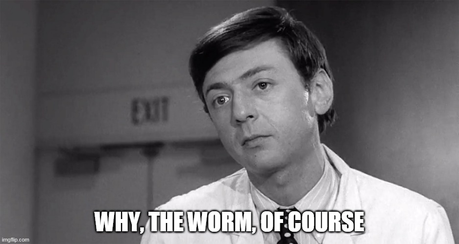 Danny Goldman | WHY, THE WORM, OF COURSE | image tagged in vermicelli,young frankenstein,danny goldman | made w/ Imgflip meme maker