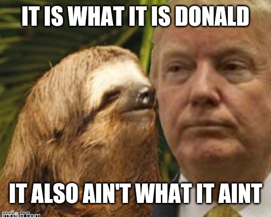 Political advice sloth | IT IS WHAT IT IS DONALD; IT ALSO AIN'T WHAT IT AINT | image tagged in political advice sloth | made w/ Imgflip meme maker
