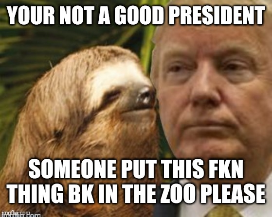 Political advice sloth | YOUR NOT A GOOD PRESIDENT; SOMEONE PUT THIS FKN THING BK IN THE ZOO PLEASE | image tagged in political advice sloth | made w/ Imgflip meme maker