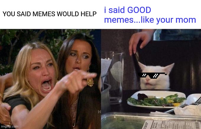 old classic | YOU SAID MEMES WOULD HELP; i said GOOD memes...like your mom | image tagged in memes,woman yelling at cat | made w/ Imgflip meme maker