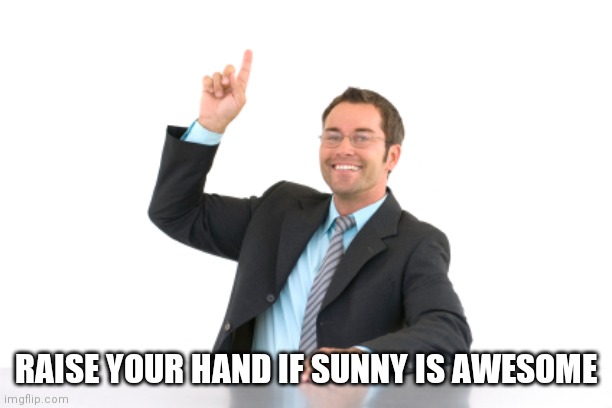 Raise it! | RAISE YOUR HAND IF SUNNY IS AWESOME | image tagged in hand raised | made w/ Imgflip meme maker