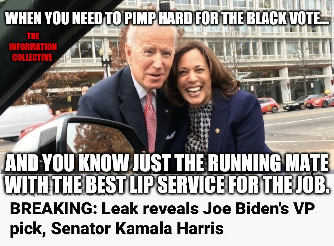 Is calling someone a "Racist" on Media now code for 'I need an executive level job'?  Asking for a friend. | WHEN YOU NEED TO PIMP HARD FOR THE BLACK VOTE... THE INFORMATION COLLECTIVE; AND YOU KNOW JUST THE RUNNING MATE WITH THE BEST LIP SERVICE FOR THE JOB. | image tagged in memes,funny,joe biden,kamala harris,politics,democrats | made w/ Imgflip meme maker