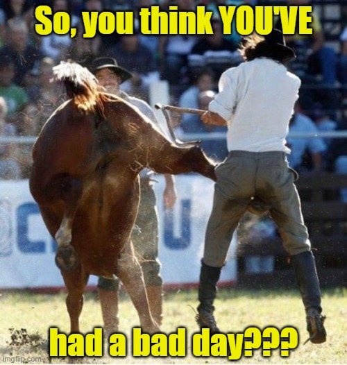 OUCH! | So, you think YOU'VE; had a bad day??? | image tagged in funny,bad day,evil cows,hurt,ouch,kick | made w/ Imgflip meme maker