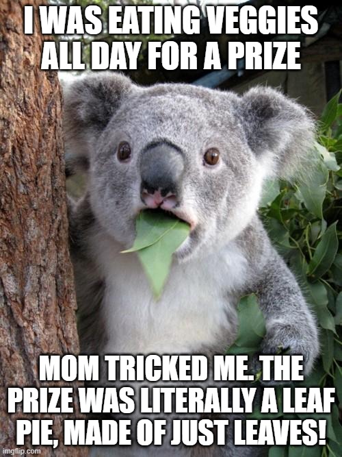 Surprised Koala | I WAS EATING VEGGIES ALL DAY FOR A PRIZE; MOM TRICKED ME. THE PRIZE WAS LITERALLY A LEAF PIE, MADE OF JUST LEAVES! | image tagged in memes,surprised koala | made w/ Imgflip meme maker