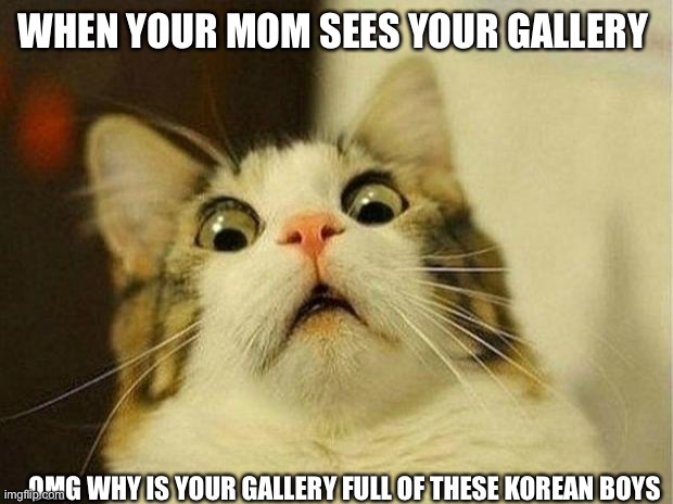 Scared Cat Meme | WHEN YOUR MOM SEES YOUR GALLERY; OMG WHY IS YOUR GALLERY FULL OF THESE KOREAN BOYS | image tagged in memes,scared cat | made w/ Imgflip meme maker