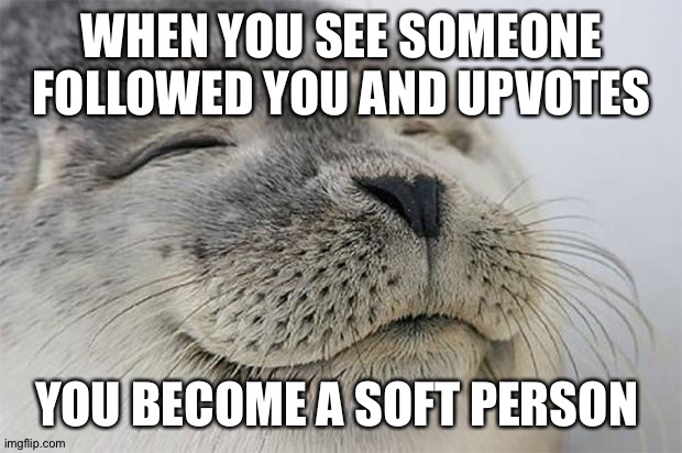 Satisfied Seal Meme | WHEN YOU SEE SOMEONE FOLLOWED YOU AND UPVOTES; YOU BECOME A SOFT PERSON | image tagged in memes,satisfied seal | made w/ Imgflip meme maker