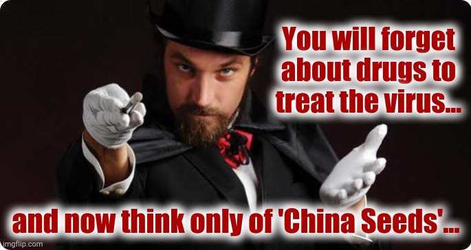 You will forget
about drugs to
treat the virus... and now think only of 'China Seeds'... | image tagged in china,seeds,magician | made w/ Imgflip meme maker