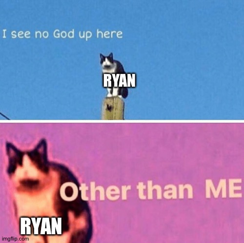 Ryan is my irl friend's oc,but still I thought this was funny | RYAN; RYAN | image tagged in hail pole cat | made w/ Imgflip meme maker