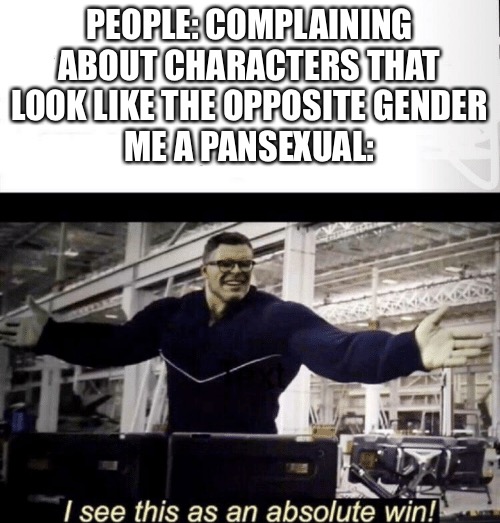 Anyone else relate? Probrably only me | PEOPLE: COMPLAINING ABOUT CHARACTERS THAT LOOK LIKE THE OPPOSITE GENDER
ME A PANSEXUAL: | image tagged in i see this as an absolute win | made w/ Imgflip meme maker