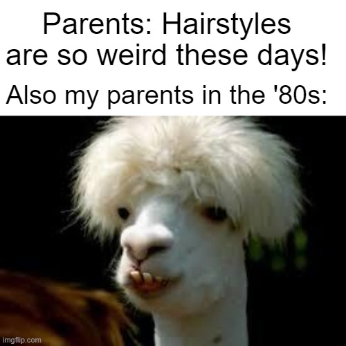 some weird hairstyles... | Parents: Hairstyles are so weird these days! Also my parents in the '80s: | image tagged in bad hair day llama,1980s,parents,dank memes,front page,stop reading the tags | made w/ Imgflip meme maker