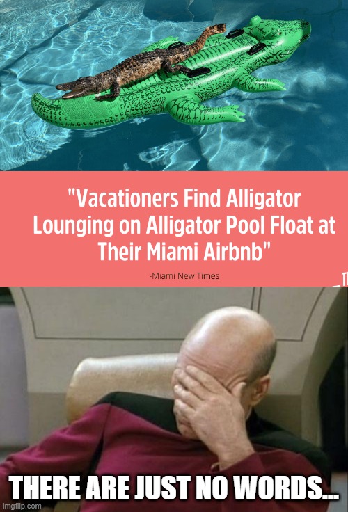 See Ya Later Alligator... | THERE ARE JUST NO WORDS... | image tagged in memes,captain picard facepalm | made w/ Imgflip meme maker