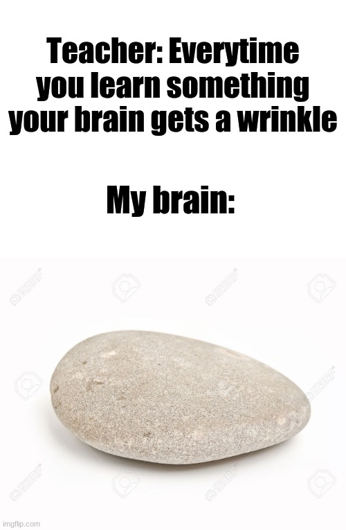 Not very smart | Teacher: Everytime you learn something your brain gets a wrinkle; My brain: | image tagged in blank white template,memes,rock | made w/ Imgflip meme maker