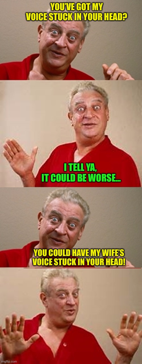 Bad Pun Rodney Dangerfield | YOU’VE GOT MY VOICE STUCK IN YOUR HEAD? YOU COULD HAVE MY WIFE’S VOICE STUCK IN YOUR HEAD! I TELL YA,
 IT COULD BE WORSE... | image tagged in bad pun rodney dangerfield | made w/ Imgflip meme maker