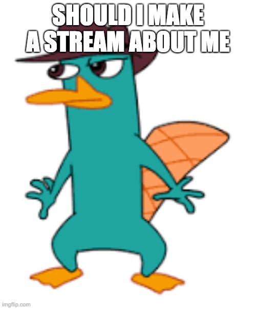 SHOULD I MAKE A STREAM ABOUT ME | image tagged in perry | made w/ Imgflip meme maker