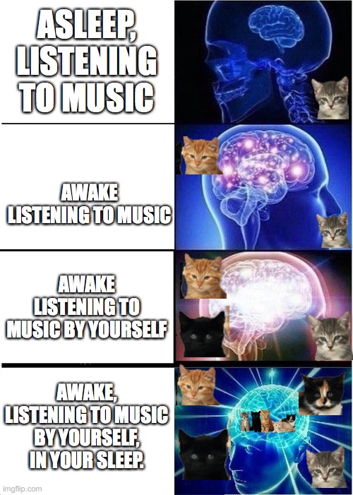 Music Rx Meow | ASLEEP, LISTENING TO MUSIC; AWAKE LISTENING TO MUSIC; AWAKE LISTENING TO MUSIC BY YOURSELF; AWAKE, LISTENING TO MUSIC BY YOURSELF, IN YOUR SLEEP. | image tagged in memes,expanding brain | made w/ Imgflip meme maker