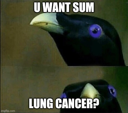 you want sum fuk | U WANT SUM LUNG CANCER? | image tagged in you want sum fuk | made w/ Imgflip meme maker