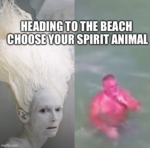 Feel the Burn | HEADING TO THE BEACH  CHOOSE YOUR SPIRIT ANIMAL | image tagged in summertime | made w/ Imgflip meme maker