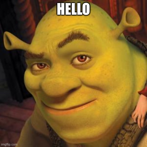 Shrek Sexy Face | HELLO | image tagged in shrek sexy face | made w/ Imgflip meme maker