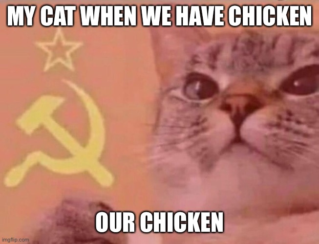Communist cat |  MY CAT WHEN WE HAVE CHICKEN; OUR CHICKEN | image tagged in communist cat | made w/ Imgflip meme maker