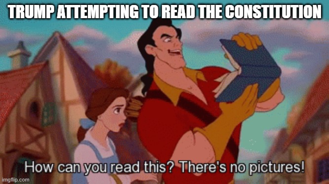 TRUMP ATTEMPTING TO READ THE CONSTITUTION | image tagged in politics,trump,usa | made w/ Imgflip meme maker