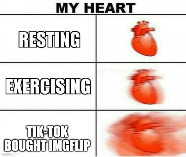 MY HEART | TIK-TOK BOUGHT IMGFLIP | image tagged in my heart | made w/ Imgflip meme maker