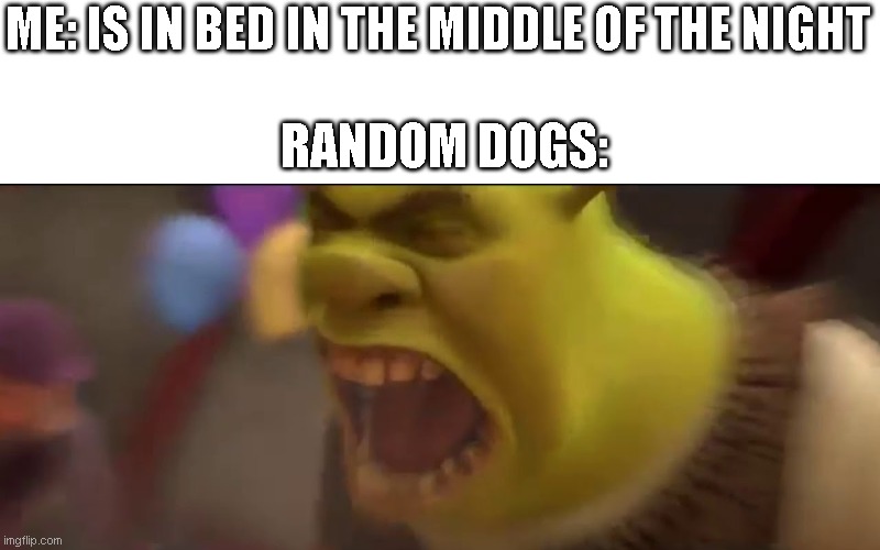 Shrek Screaming | ME: IS IN BED IN THE MIDDLE OF THE NIGHT; RANDOM DOGS: | image tagged in shrek screaming,dogs | made w/ Imgflip meme maker